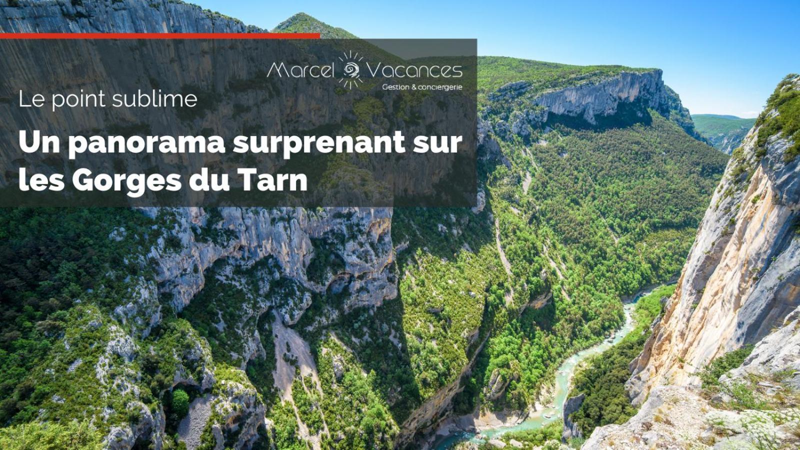 Gorges Du Tarn Gite En Pierres Avec Terrasse Quezac  Екстер'єр фото